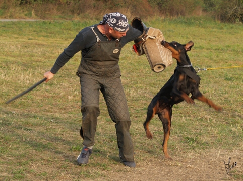 Training in Prague - defence - 10/2006